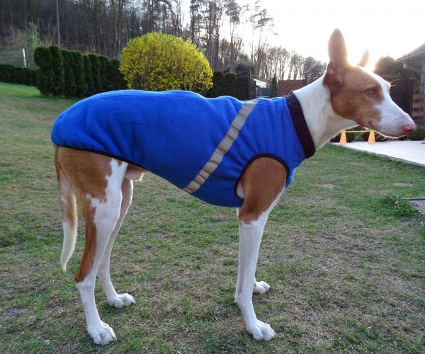 owalo design Hunde Wintermantel Mit Bauchschutz