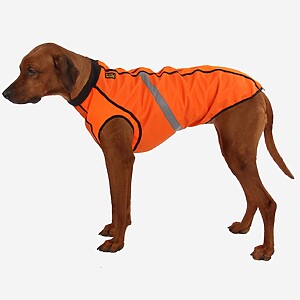 Warnweste für Hunde aus Softshell nach Maß