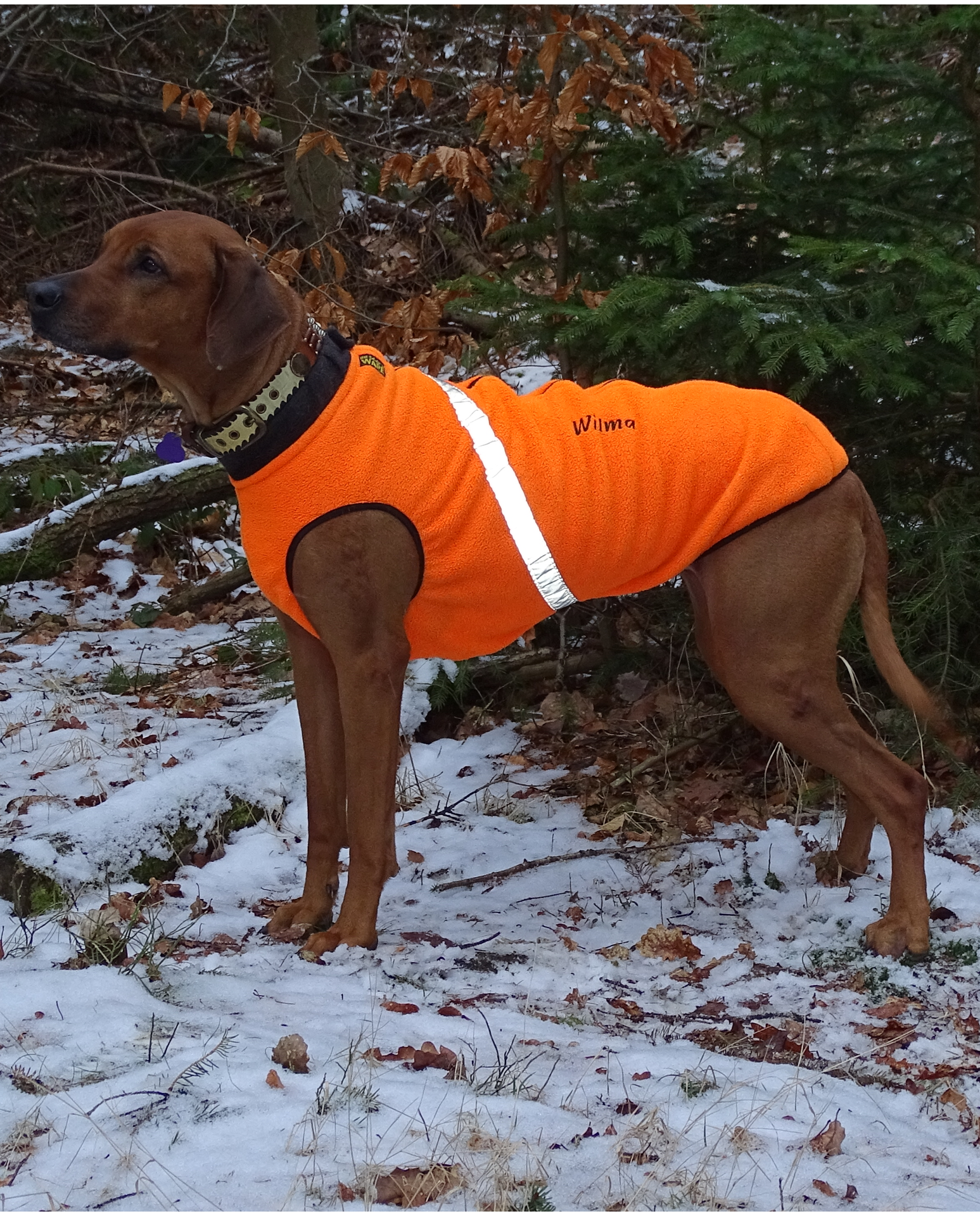 Hundemantel Bodywarmer Fleece orange bestickt RR DOG`s WARE