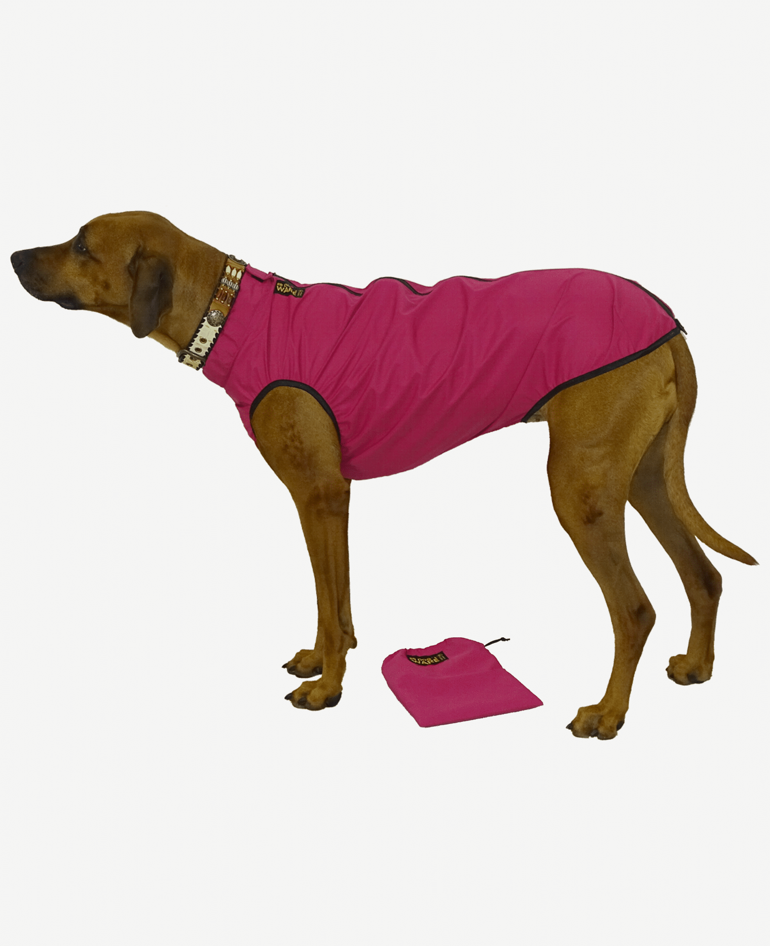 Regencape superleicht RR DOG�s WARE Hundebekleidung nach Maß