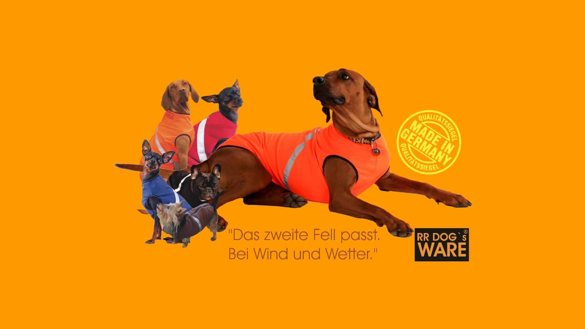 Verschiedene Hunde , die einen Hundemantel von RR DOG`s WARE ® tragen
