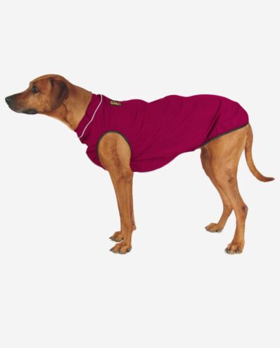 Hunderegencape Pinkbeere mit Leuchtbiese RR DOG`s WARE