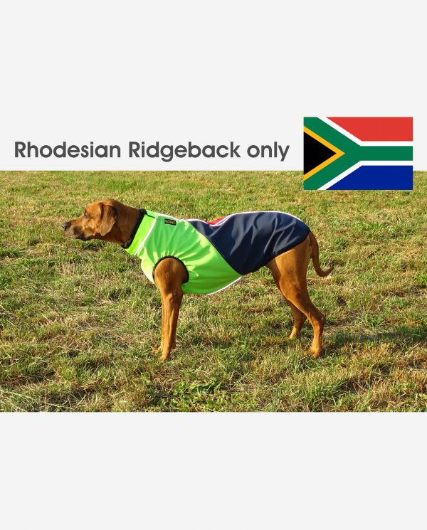 Hundemantel für Rhodesian Ridgeback Winter Herbst Frühling