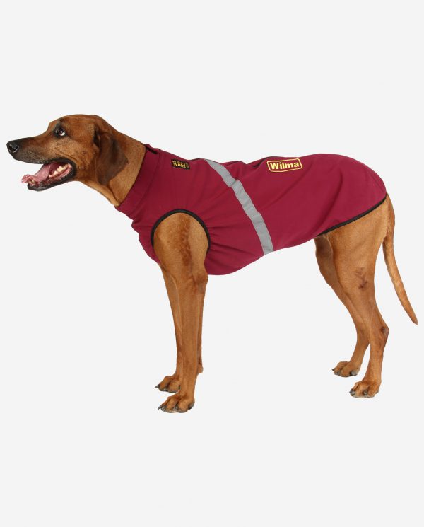 RR DOG`s WARE® Hundemantel Softshell Wasserdicht Berry
