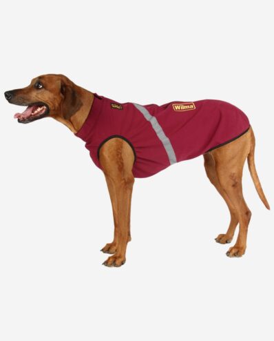 RR DOG`s WARE® Hundemantel Softshell Wasserdicht Berry