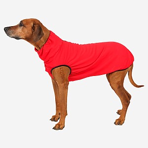 Hundepullover Baumwollsweat