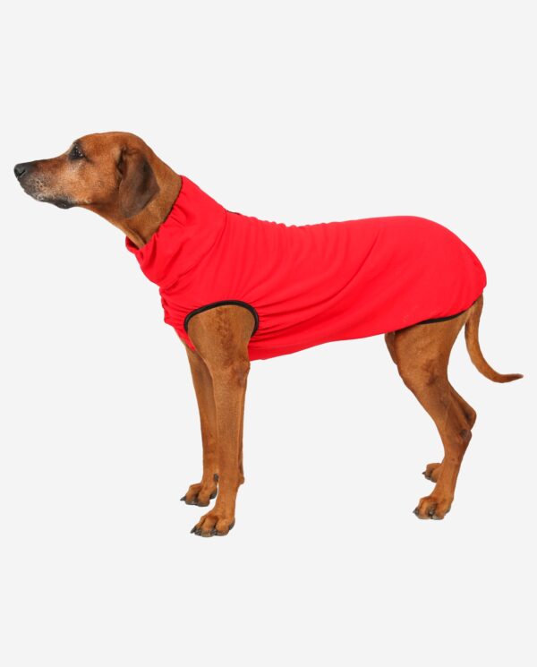 RR DOG`s WARE® Hundepullover rot