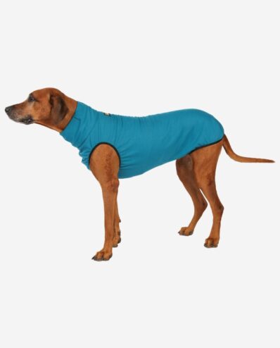 RR DOG`s WARE® Hundepullover türkis