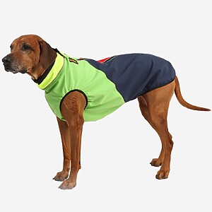 Rhodesian Ridgeback Bodywarmer Softshell South Africa ALLROUND wasserdicht