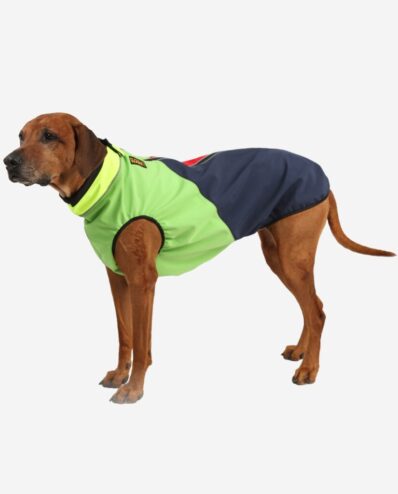 Hundemantel für Rhodesian Ridgeback Winter Herbst Frühling