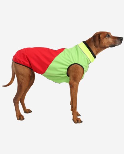 Hundemantel für Rhodesian Ridgeback Winter Herbst Frühling