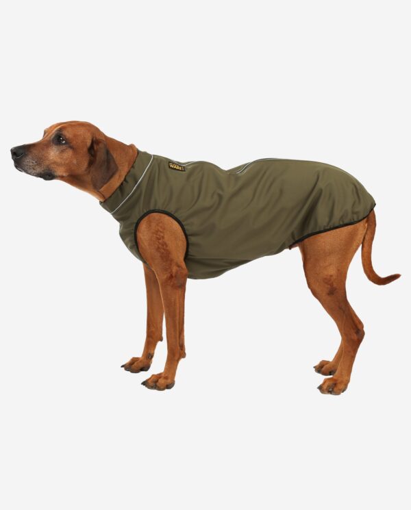 RR DOG`s WARE® Hundemantel Softshell Wasserdicht Khakigrün