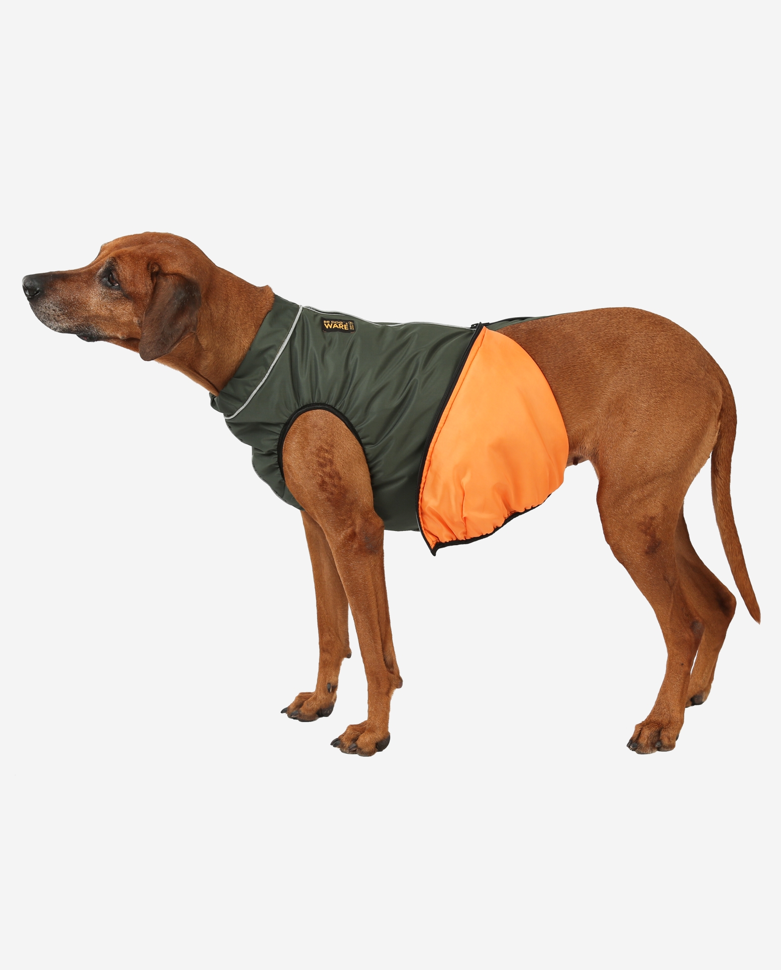 RR DOG`s WARE® Hunderegenjacke Khakigrün strapazierfähig Futter orange
