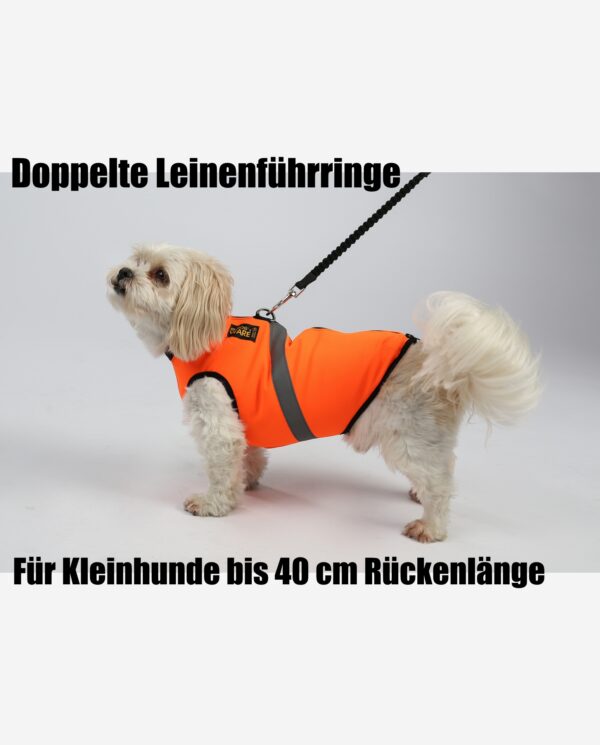 RR DOG`s WARE® Doppelte Leinenführring Hundegeschirr