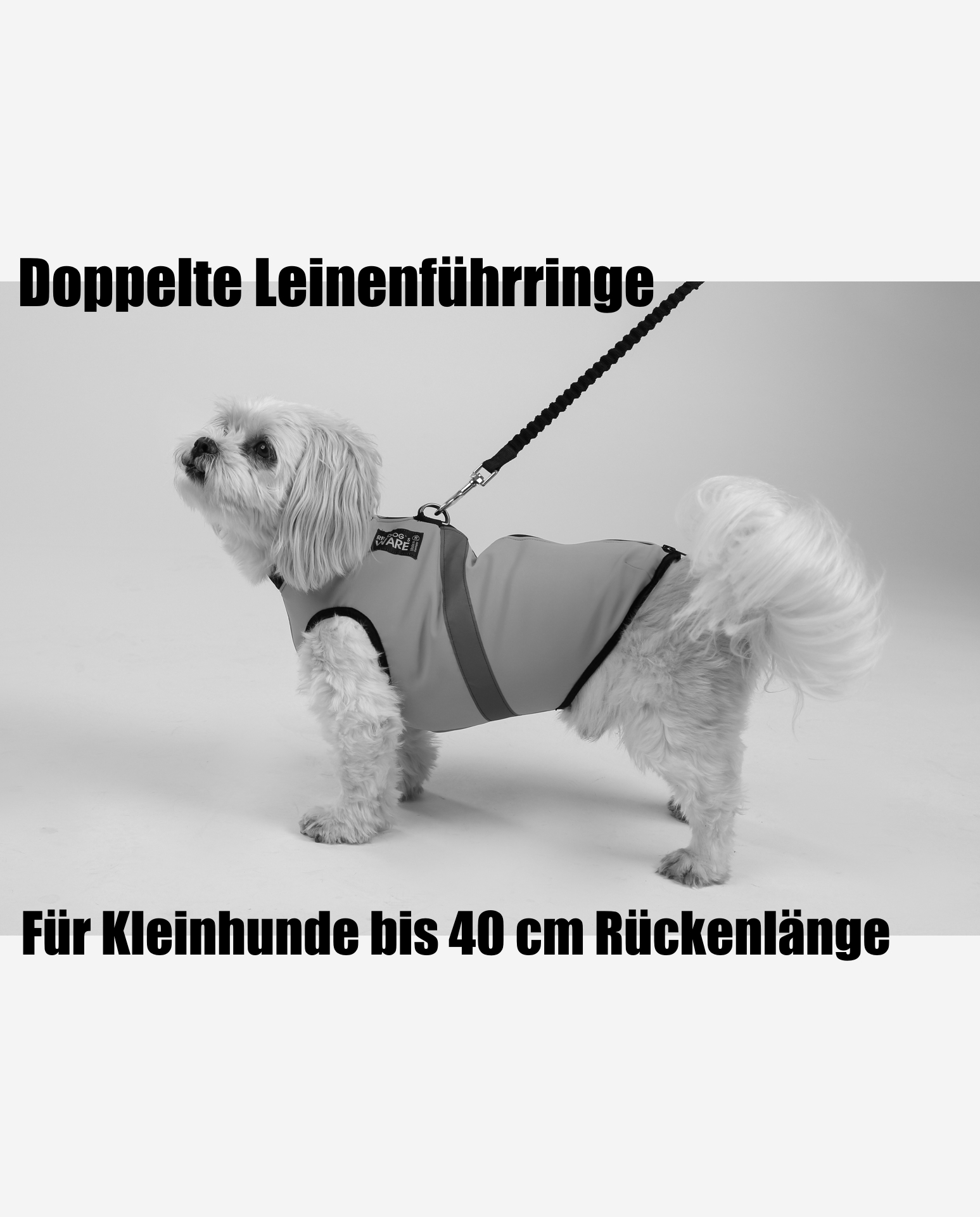 RR DOG`s WARE® Doppelte Leinenführring Hundegeschirr