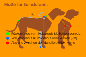 Maßfigurine Hund für Beinstulpen vermessen für RR DOG`s WARE Hundebekleidung