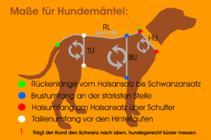 Maßfigurine Hund vermessen für RR DOG`s WARE Hundebekleidung
