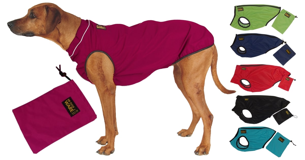 regencape hund
