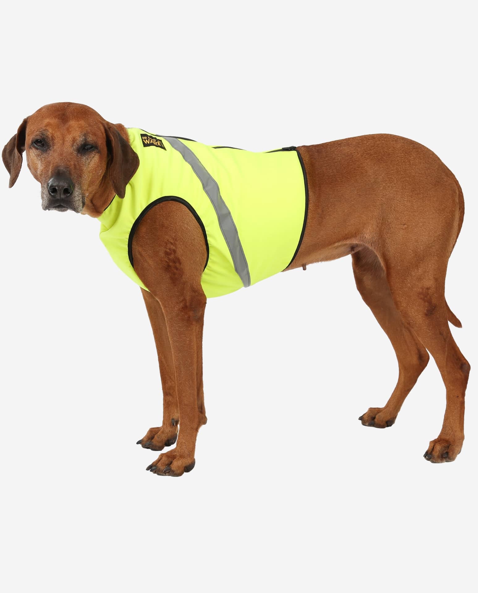 Warnweste für aus Softshell nach Maß | RR DOG`s WARE®