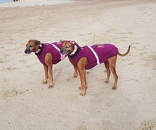 Log Stationär Blütenblatt mantel für ridgeback Slogan Industrialisieren