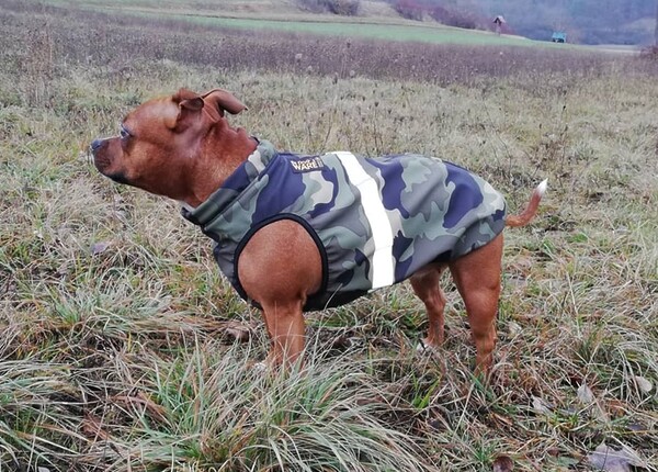 Staffordshire Terrier Hundemantel Softshell Camouflage RR DOG`s WARE