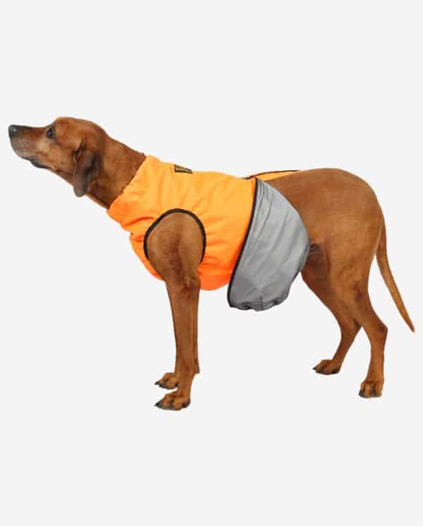 RR DOG`s WARE® Extreme Cordura ALLROUND Orange