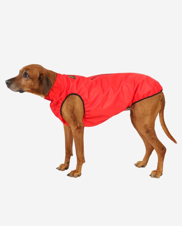 RR DOG`s WARE® Extreme Cordura ALLROUND Rot