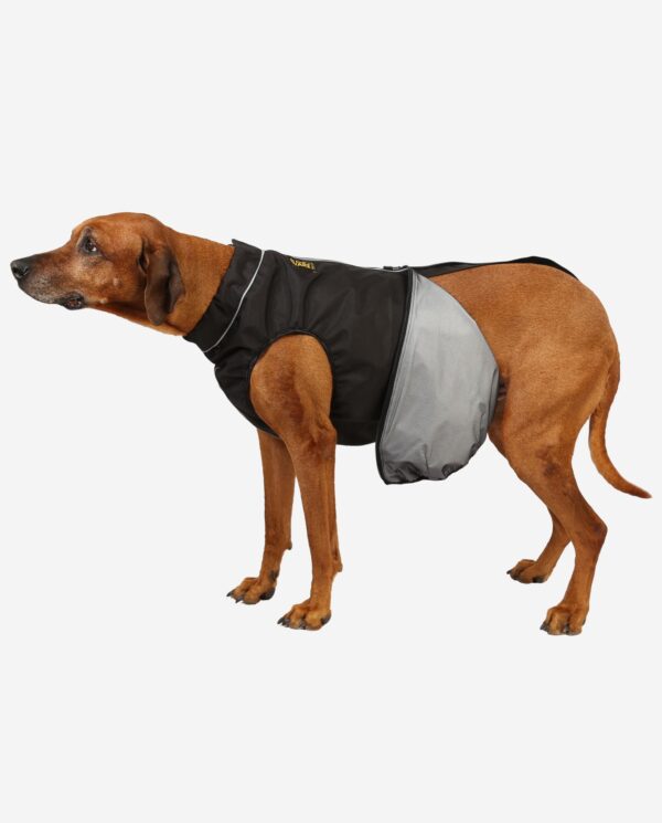 RR DOG`s WARE® Extreme Cordura ALLROUND Schwarz