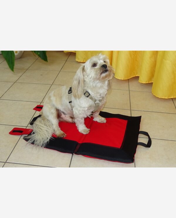 Hundekühldecke Multifunktion Kleiner Hund