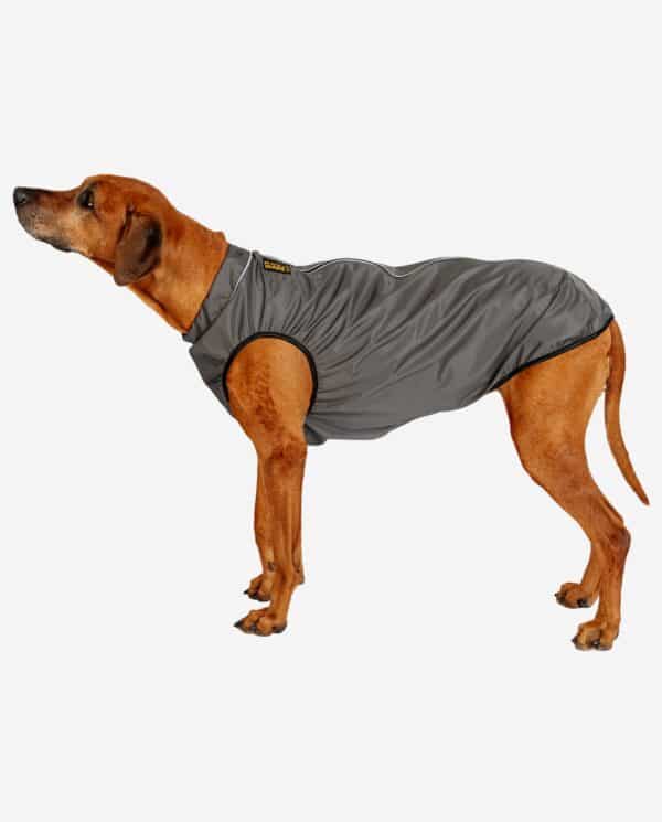 RR DOG`s WARE® Hunderegenjacke dunkelgrau strapazierfähig