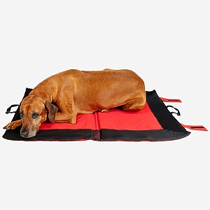 Hundekühldecke Hundeliegedecke Hundeklappmatte für unterwegs von RR DOG`s WARE