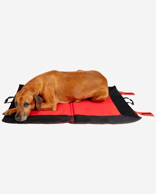 Hundekühldecke Multifunktion Groß Mit Rhodesian Ridgeback RR DOG`s WARE