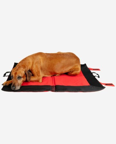 Hundekühldecke Multifunktion Groß Mit Rhodesian Ridgeback RR DOG`s WARE