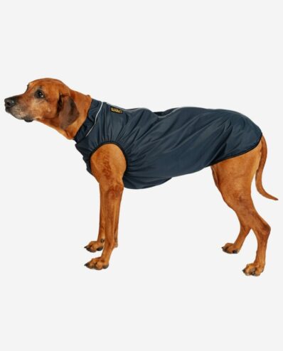 Hunderegencape Marineblau mit Leuchtbiese RR DOG`s WARE