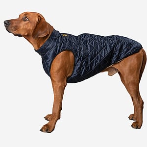 Stepphundemantel Metallic POLAR Blau Winter Seitenansicht