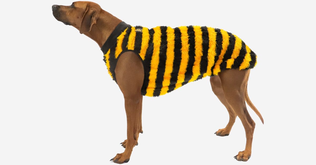 Hundemantel Webpelz Honeybee Maya | RR DOG`s WARE