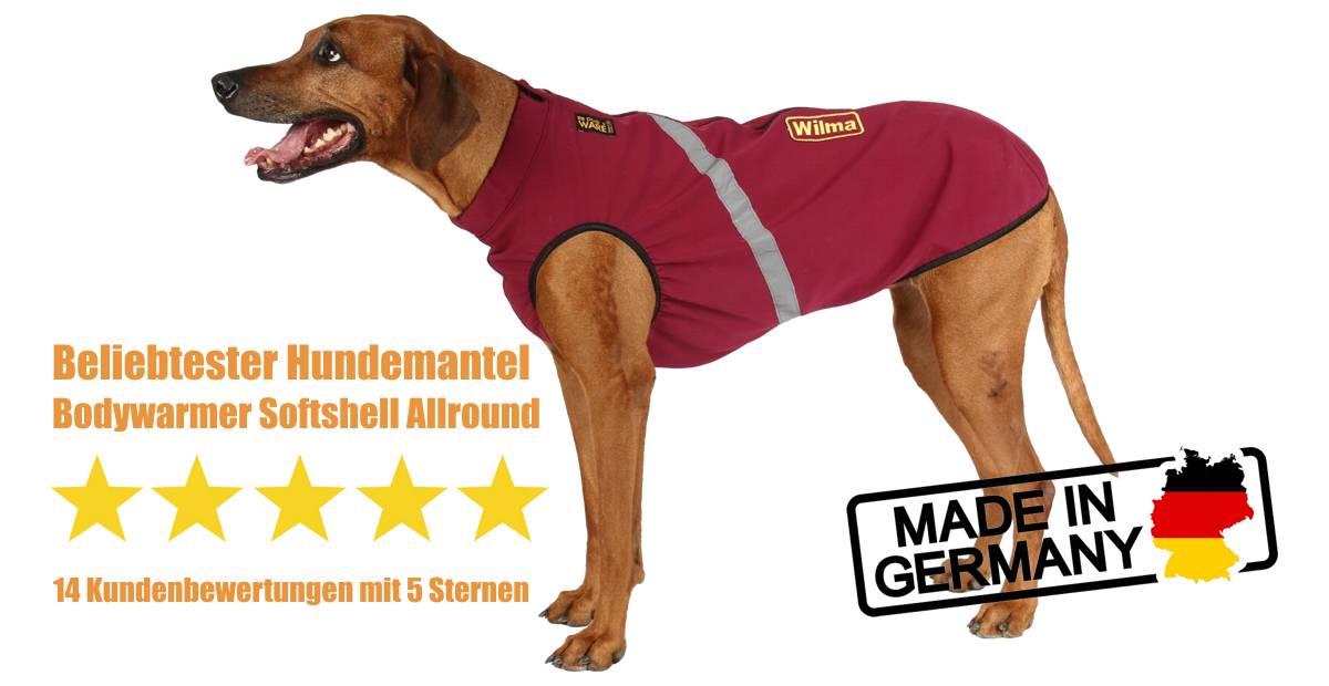 Softshellhundemantel mit Klimamembran wasser- und winddicht