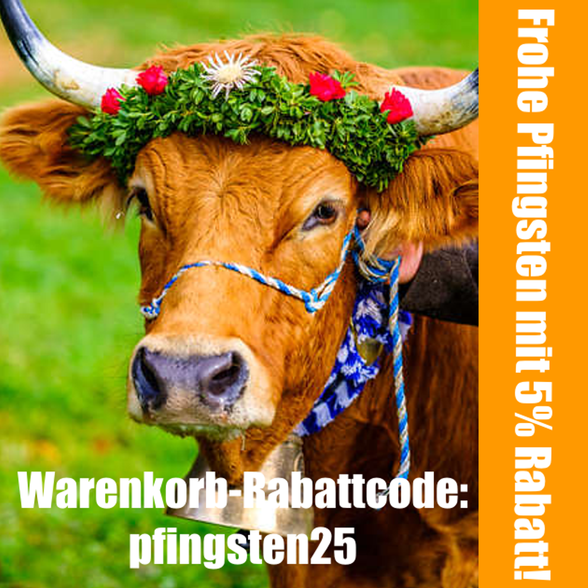 5% Pfingstrabatt im Warenkorb ab 75 EURO Einkaufswert bis 15.06.25 bei RR DOG`s WARE!