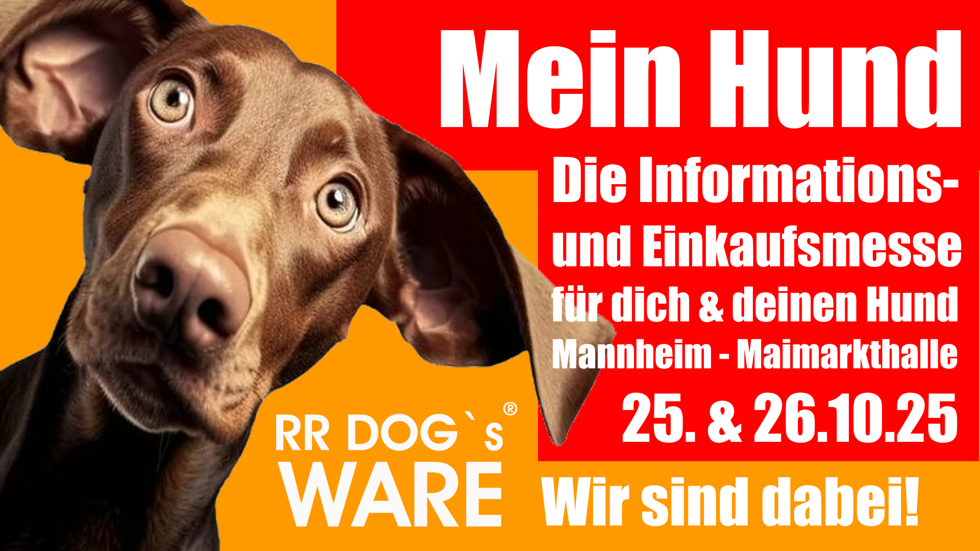 Am 25. und 26.10.25 ist RR DOG`s WARE Hundebekleidung nach Maß in Mannheim bei der Mein Hund-Messe in der Maimarkthalle dabei!