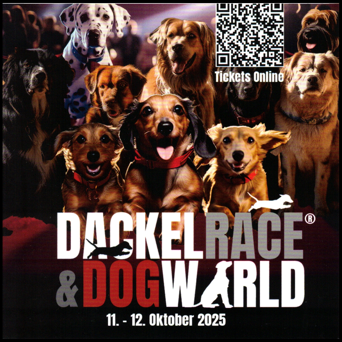 RR DOG`s WARE Hundebekleidung nach Maß bei DogWorld & DackelRace München in der MotorWorld am 11. und 12.10.25