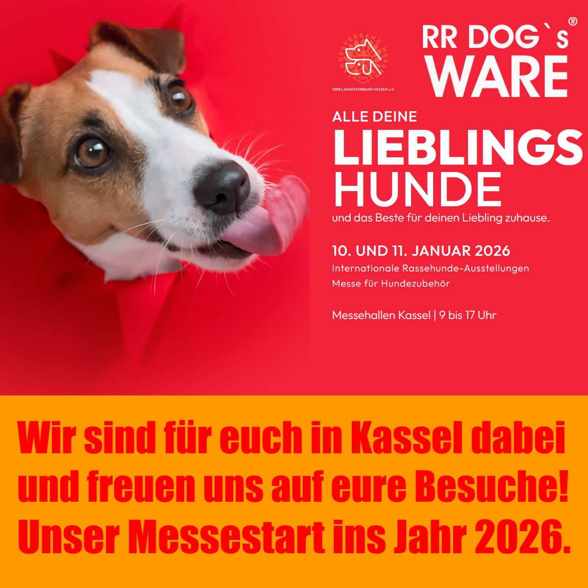 RR DOG`s WARE Hundebekleidung nach Maß bei Rassehundeausstellung in der Messe Kassel am 10. und 11.01.2026