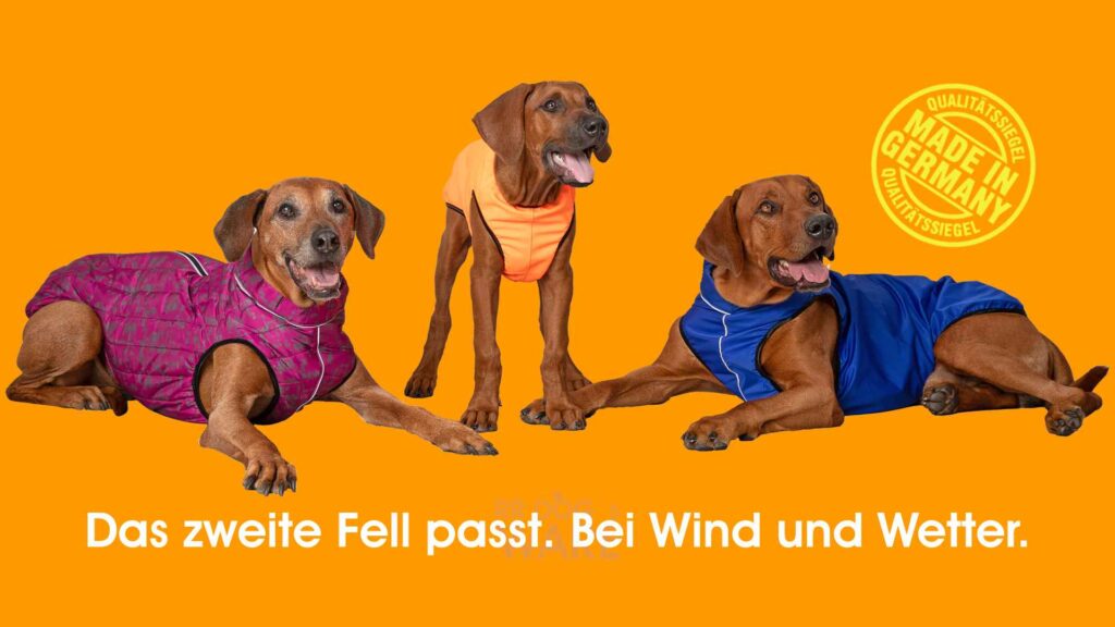 Eine Rhodesian Ridgeback Gruppe in RR DOG`s WARE Hundebekleidung nach Maß handgefertigt in Coswig bei Dresden Deutschland Winterstepphundemantel Softshellhundemantel Hunderegenjacke