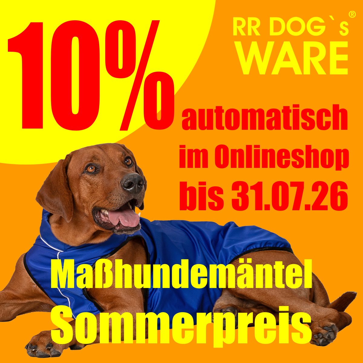Maßhundemantel Sommerangebot 10% Rabatt auf alle Maßhundemäntel von RR DOG`s WARE bis 31.07.26