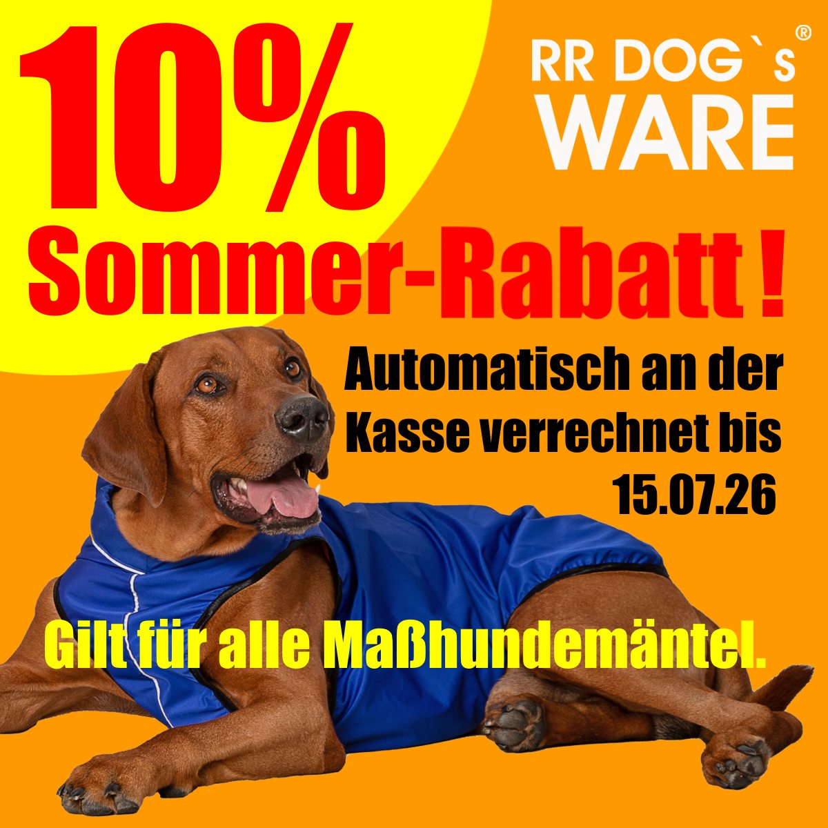 Sommer-Angebot 10% Rabatt auf alle Maßhundemäntel von RR DOG`s WARE